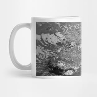 South Orange of Alligator black and white Mug